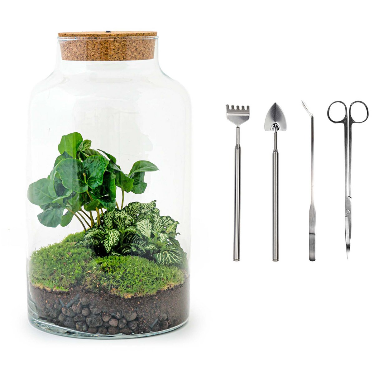 Terrarium-Bausatz "Milchiger Kaffee" mit Licht – Flaschengarten - Fiorello Boutique