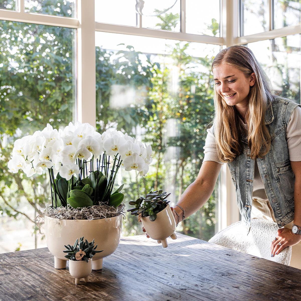 Glücksmoment: Drei weiße Orchideen mit Schilfrohr Schale & 25,- € Gutschein - Fiorello Boutique