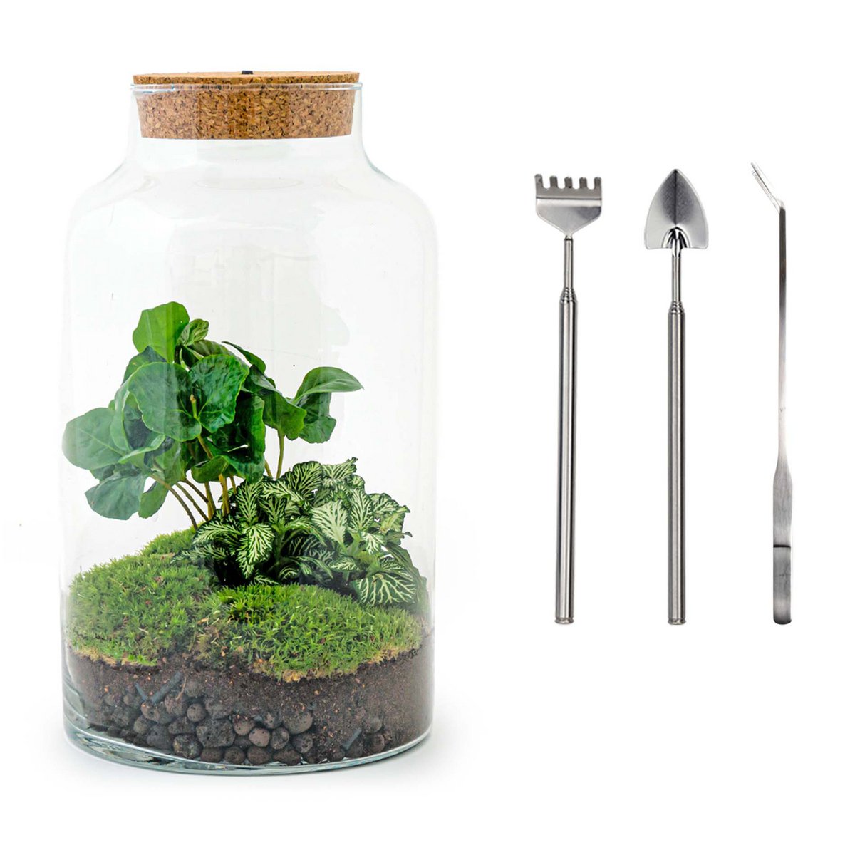 Terrarium-Bausatz "Milchiger Kaffee" mit Licht – Flaschengarten - Fiorello Boutique