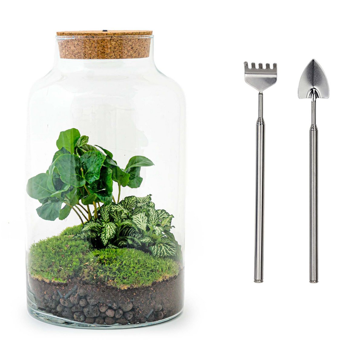 Terrarium-Bausatz "Milchiger Kaffee" mit Licht – Flaschengarten - Fiorello Boutique